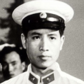 日本成人a视频